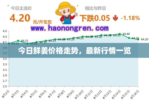 今日鲜姜价格走势,最新行情一览