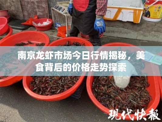 南京龙虾市场今日行情揭秘,美食背后的价格走势探索