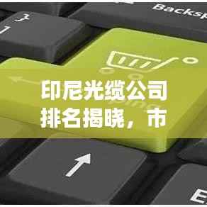 印尼光缆公司排名揭晓，市场影响力与市场份额一览