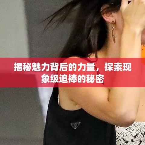 揭秘魅力背后的力量，探索现象级追捧的秘密