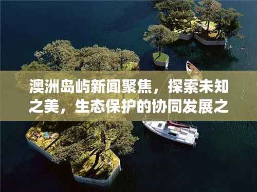 澳洲岛屿新闻聚焦,探索未知之美,生态保护的协同发展之路