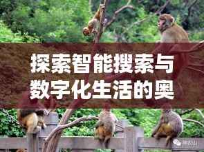 澹泊明志 第2页