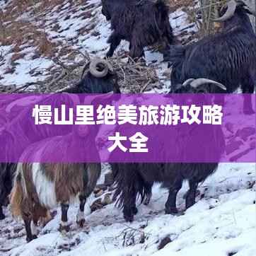 慢山里绝美旅游攻略大全