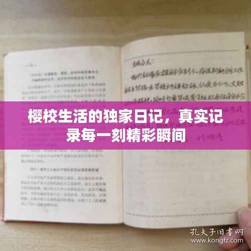 樱校生活的独家日记,真实记录每一刻精彩瞬间