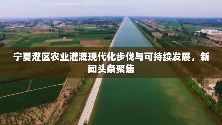 宁夏灌区农业灌溉现代化步伐与可持续发展,新闻头条聚焦