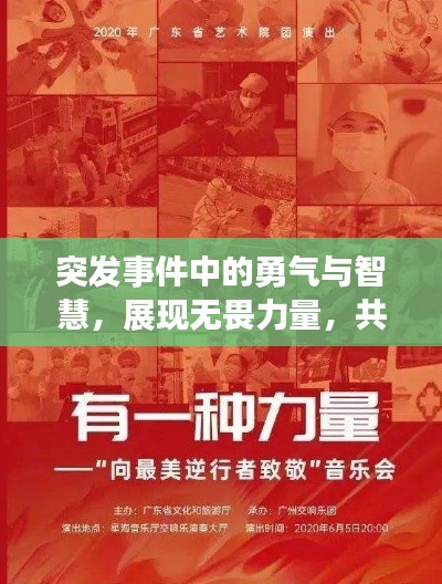 突发事件中的勇气与智慧,展现无畏力量,共创时代传奇