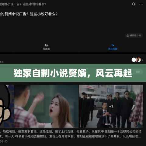 独家自制小说赘婿,风云再起