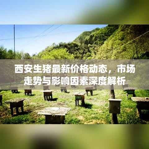 西安生猪最新价格动态，市场走势与影响因素深度解析