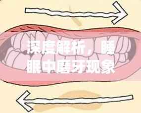 深度解析，睡眠中磨牙现象的原因与影响
