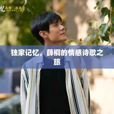独家记忆，薛桐的情感诗歌之旅