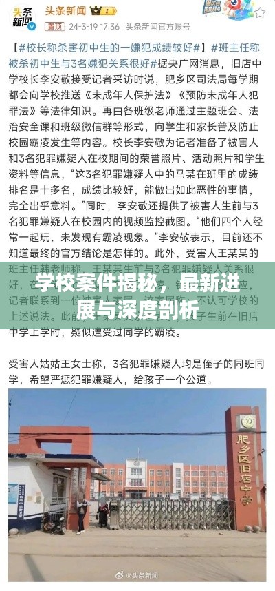 学校案件揭秘，最新进展与深度剖析