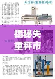揭秘失重秤市场，厂家排名榜前十强榜单揭晓！