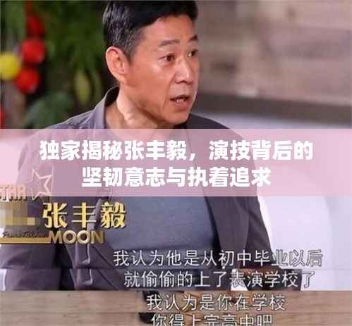 独家揭秘张丰毅，演技背后的坚韧意志与执着追求