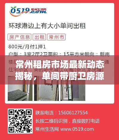 常州租房市场最新动态揭秘，单间带厨卫房源深度解析