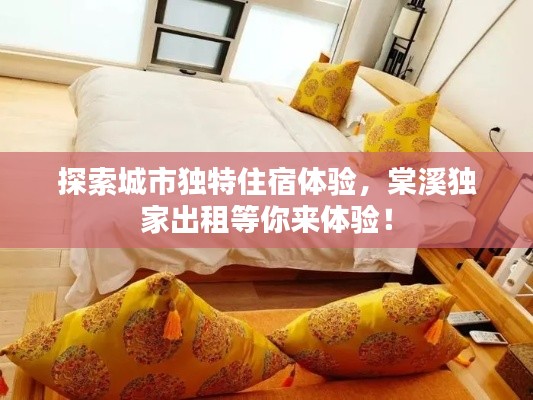 探索城市独特住宿体验，棠溪独家出租等你来体验！