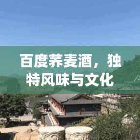 百度荞麦酒,独特风味与文化内涵的探寻之旅